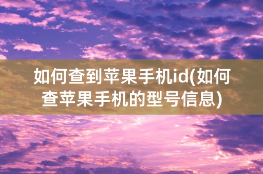 如何查到苹果手机id(如何查苹果手机的型号信息)