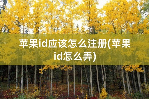 苹果id应该怎么注册(苹果id怎么弄)