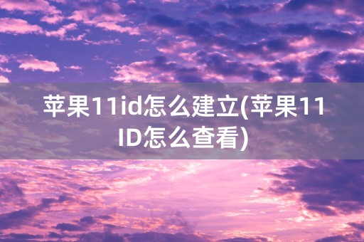 苹果11id怎么建立(苹果11ID怎么查看)