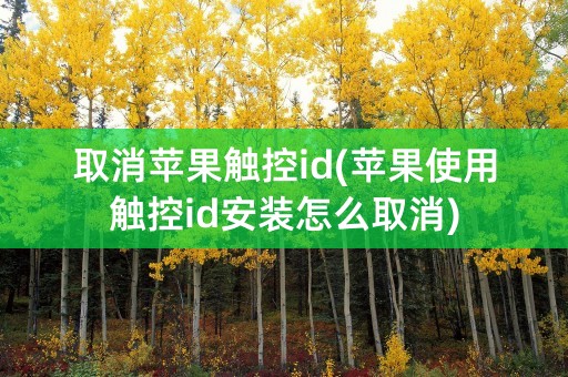 取消苹果触控id(苹果使用触控id安装怎么取消)