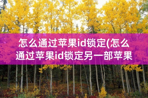 怎么通过苹果id锁定(怎么通过苹果id锁定另一部苹果手机)