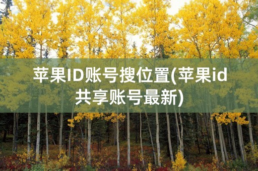 苹果ID账号搜位置(苹果id共享账号最新)