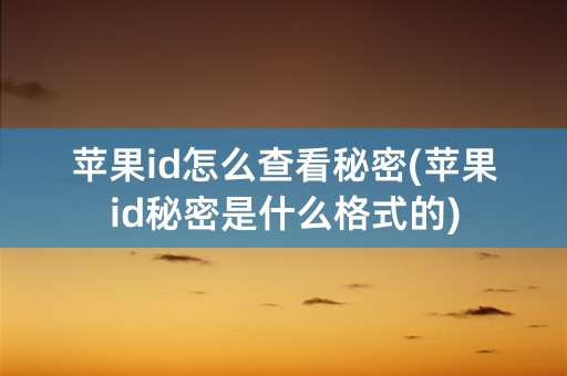 苹果id怎么查看秘密(苹果id秘密是什么格式的)