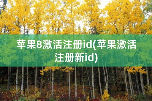 苹果8激活注册id(苹果激活注册新id)