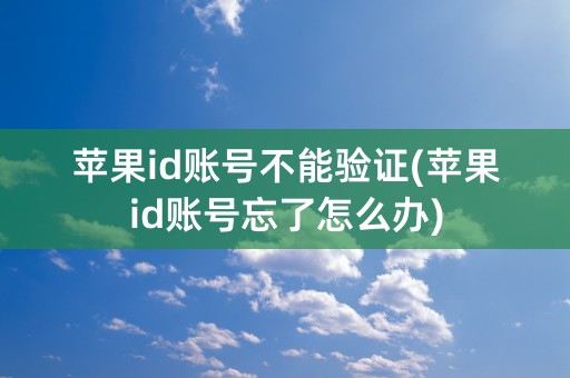 苹果id账号不能验证(苹果id账号忘了怎么办)