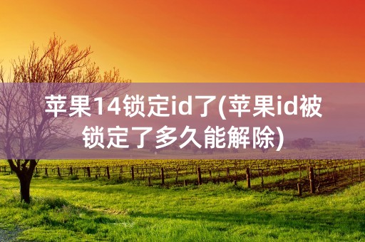 苹果14锁定id了(苹果id被锁定了多久能解除)