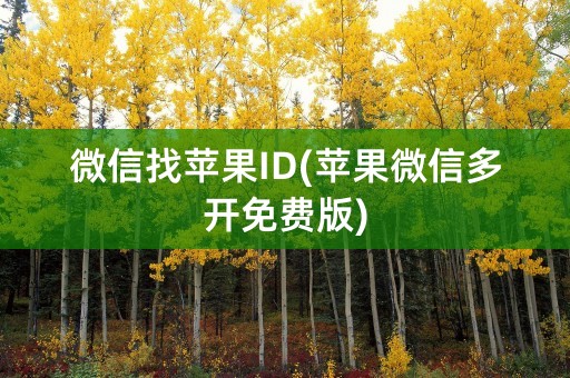 微信找苹果ID(苹果微信多开免费版)