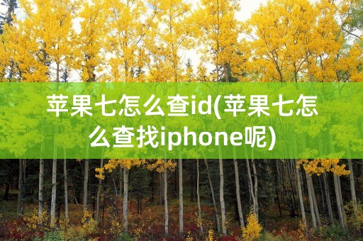 苹果七怎么查id(苹果七怎么查找iphone呢)