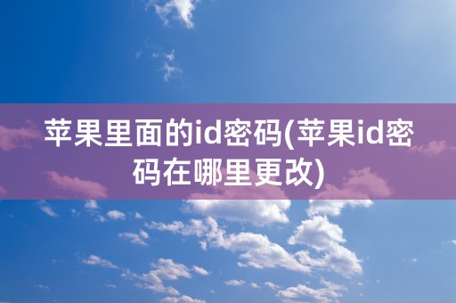 苹果里面的id密码(苹果id密码在哪里更改)