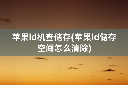 苹果id机查储存(苹果id储存空间怎么清除)