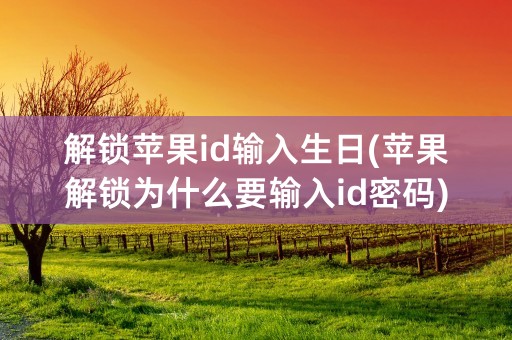 解锁苹果id输入生日(苹果解锁为什么要输入id密码)