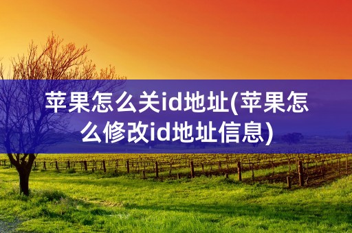 苹果怎么关id地址(苹果怎么修改id地址信息)