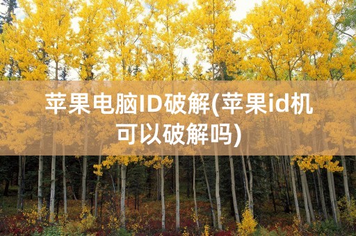 苹果电脑ID破解(苹果id机可以破解吗)