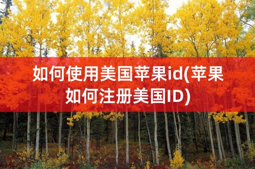 如何使用美国苹果id(苹果如何注册美国ID)