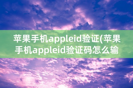 苹果手机appleid验证(苹果手机appleid验证码怎么输入)