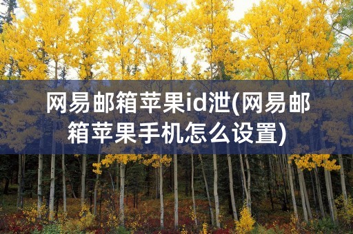 网易邮箱苹果id泄(网易邮箱苹果手机怎么设置)