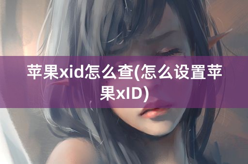 苹果xid怎么查(怎么设置苹果xID)