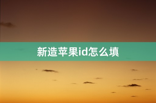 新造苹果id怎么填