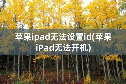 苹果ipad无法设置id(苹果iPad无法开机)