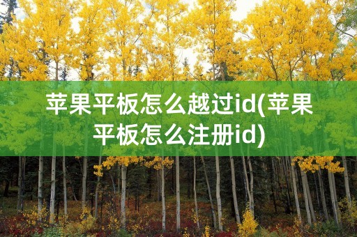 苹果平板怎么越过id(苹果平板怎么注册id)