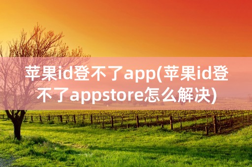 苹果id登不了app(苹果id登不了appstore怎么解决)