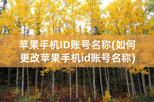 苹果手机ID账号名称(如何更改苹果手机id账号名称)