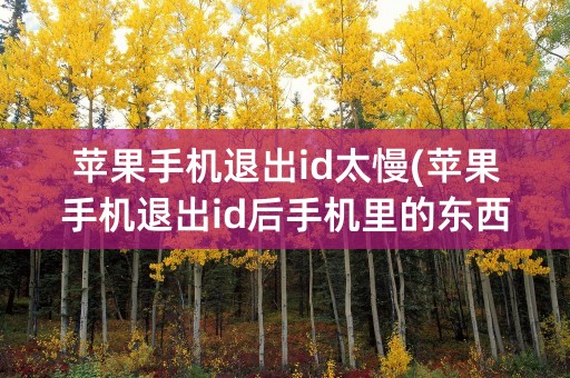 苹果手机退出id太慢(苹果手机退出id后手机里的东西还有吗)