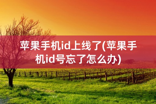 苹果手机id上线了(苹果手机id号忘了怎么办)