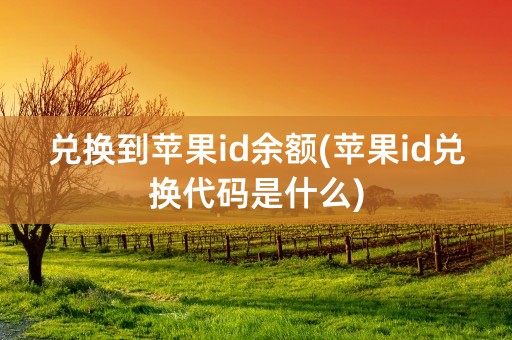 兑换到苹果id余额(苹果id兑换代码是什么)