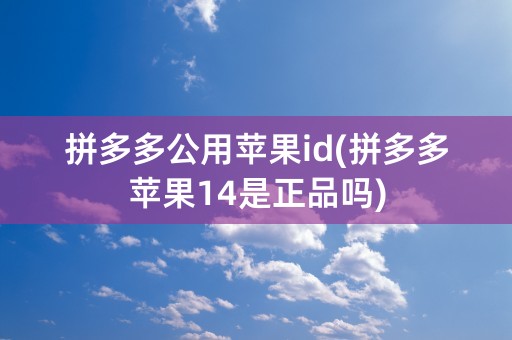 拼多多公用苹果id(拼多多苹果14是正品吗)