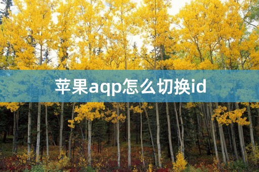 苹果aqp怎么切换id