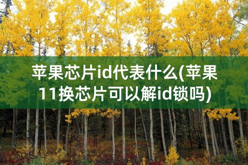 苹果芯片id代表什么(苹果11换芯片可以解id锁吗)