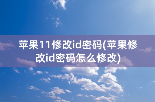 苹果11修改id密码(苹果修改id密码怎么修改)