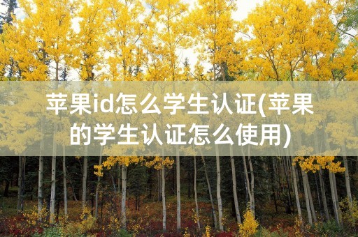 苹果id怎么学生认证(苹果的学生认证怎么使用)