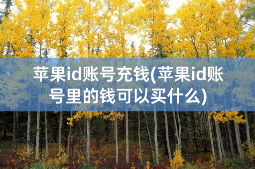 苹果id账号充钱(苹果id账号里的钱可以买什么)