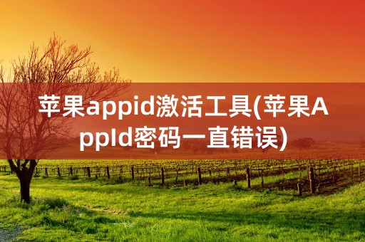 苹果appid激活工具(苹果AppId密码一直错误)