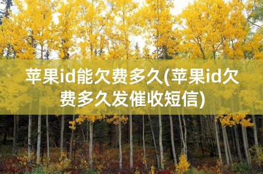 苹果id能欠费多久(苹果id欠费多久发催收短信)