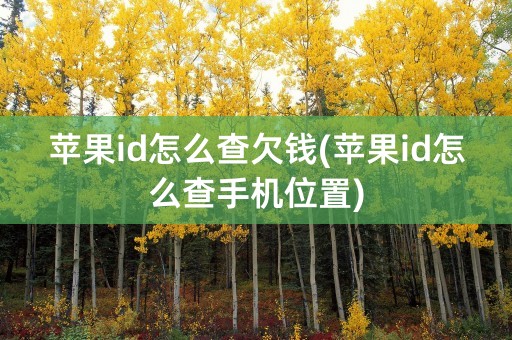 苹果id怎么查欠钱(苹果id怎么查手机位置)