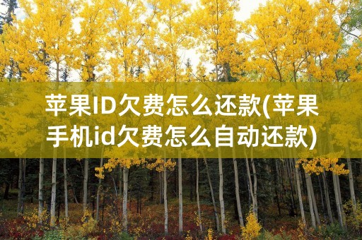 苹果ID欠费怎么还款(苹果手机id欠费怎么自动还款)