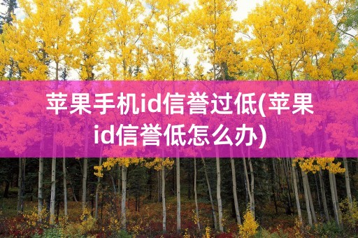 苹果手机id信誉过低(苹果id信誉低怎么办)