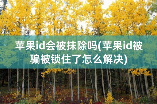 苹果id会被抹除吗(苹果id被骗被锁住了怎么解决)