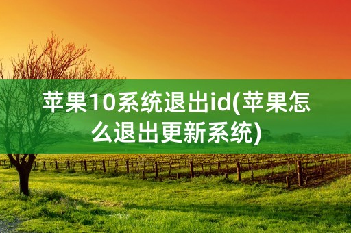 苹果10系统退出id(苹果怎么退出更新系统)