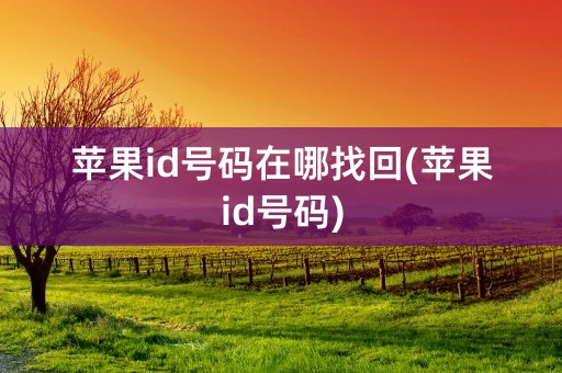 苹果id号码在哪找回(苹果id号码)