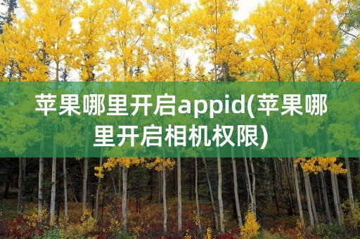 苹果哪里开启appid(苹果哪里开启相机权限)