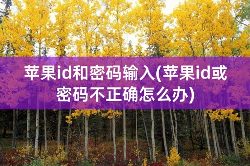 苹果id和密码输入(苹果id或密码不正确怎么办)