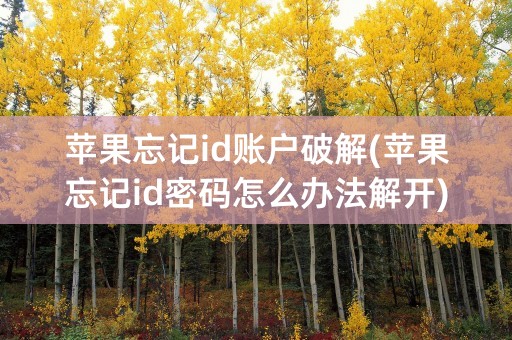 苹果忘记id账户破解(苹果忘记id密码怎么办法解开)