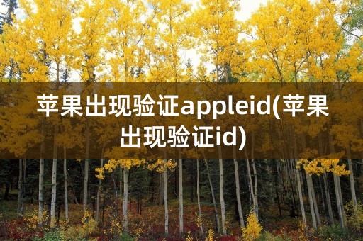 苹果出现验证appleid(苹果出现验证id)