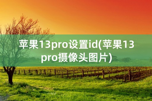 苹果13pro设置id(苹果13pro摄像头图片)