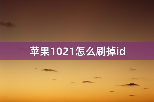 苹果1021怎么刷掉id