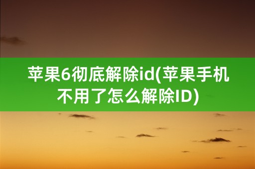 苹果6彻底解除id(苹果手机不用了怎么解除ID)